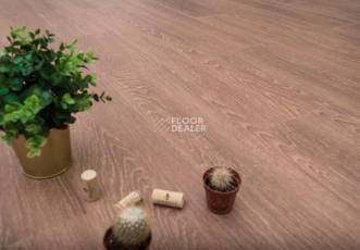 Ecoclick Wood  клеевой 2.3мм NOX-1714 Дуб Арагон фото 1 | FLOORDEALER